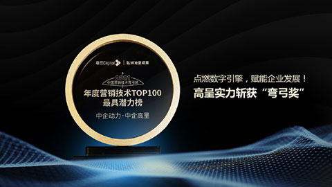 中国数字营销技术弯弓奖-年度营销技术TOP100